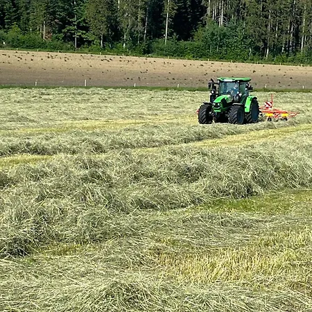Rohrbachhof * Schiltach